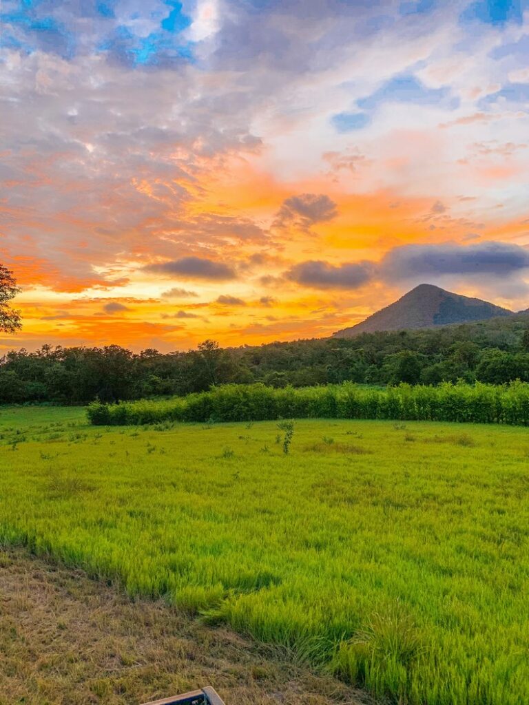 Property for Sale in Costa Rica